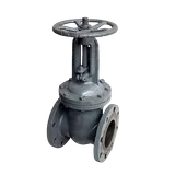 Задвижка 30с64нж  Ду50 Ру25