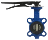 Затвор дисковый поворотный Ду65 Ру16 с рукояткой