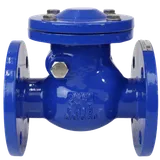 Клапан обратный чугунный поворотный Ду80 Ру10/16 диск чугун Benarmo