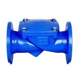 Клапан обратный чугунный поворотный Ду80 Ру10/16 диск сталь Benarmo